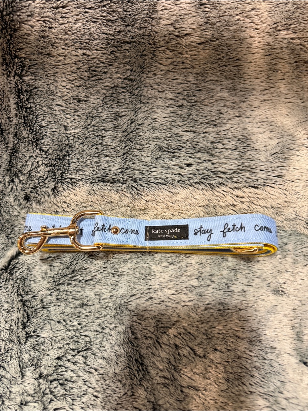 kate spade light blue and yellow "Stay Fetch" Dog Leash with Gold Hardware